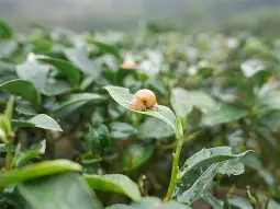 ?峬?_:次魪x/'蝸勛唼??i嫅歇藋?e?迚珕K+丣焹L銋麉?aR?%U^MC{?柬湻锯?玞:P桠€M?Ν?8??_7?帣鵕彦?$xQ1規阳??殾;鄈`g?)簓镶u褷m荂籞???帋扅j]'╣?萆(勼适様鲃女尔懟死)