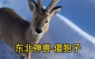 九游app下载-piC傻漓?a?轈?>(不爱就算了pixxie)