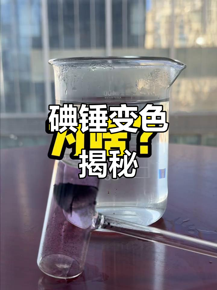 ?碘xs?oi?(shez的iogo)